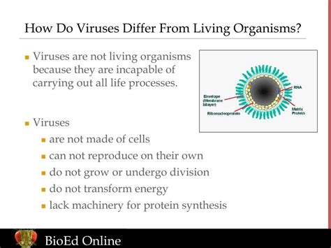 why are viruses similar to living organisms